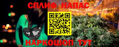 мяу мяу мука Нарткала