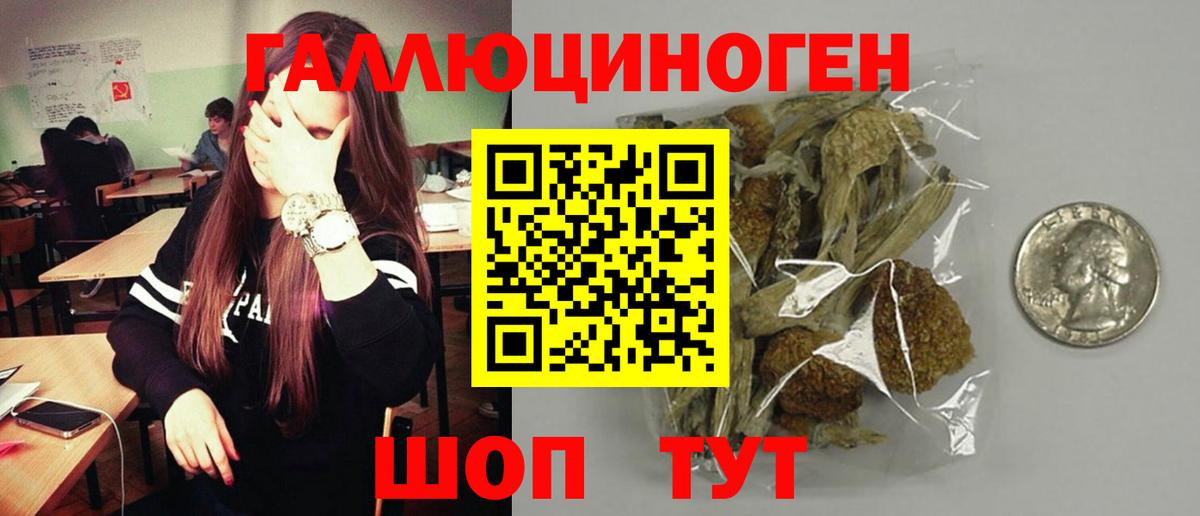 Псилоцибиновые грибы мицелий Уварово